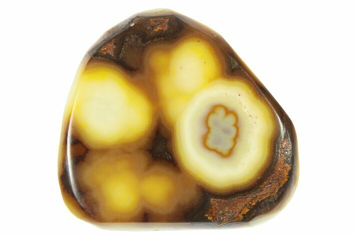 Polished Botryoidal Yellow Smithsonite - New Mexico #209532